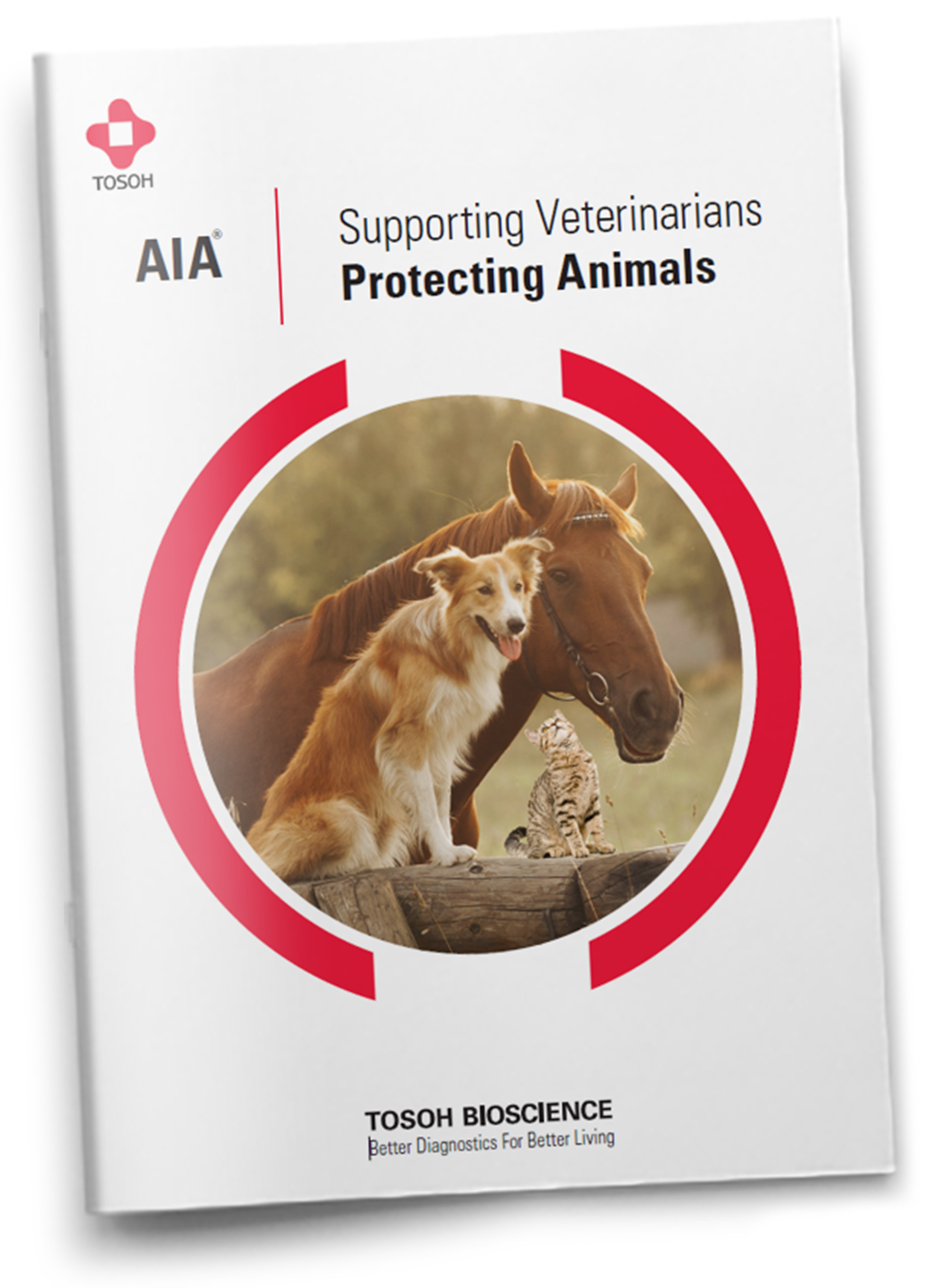 Supporting Veterinarians - Protecting Animals